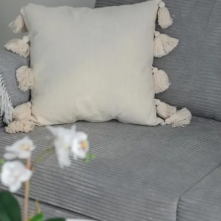 Апартаменты Comfortable With Parking In By Renters