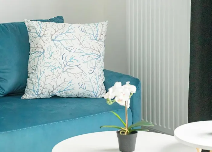 Comfortable With Parking In By Renters Stettin